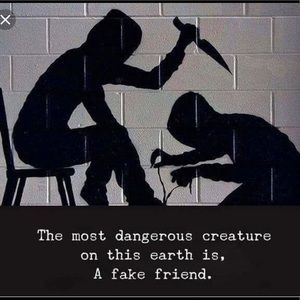 Meet your Posher, Marlen